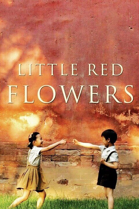 电影 看上去很美 / Little Red Flowers 2006 封面图/海报