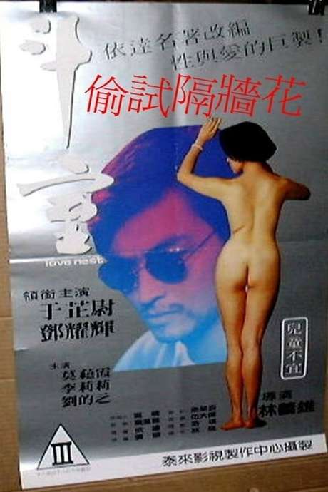 电影 偷试隔墙花 / Love Birds 1992 封面图/海报