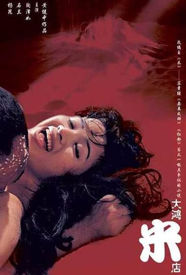 电影 大鸿米店 / Rice Dahongmidian 2004 封面图/海报