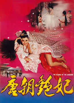 电影 唐朝艳妃_唐朝奸妃 1993 / The Devil Woman Of Tang Dynasty 1993 封面图/海报