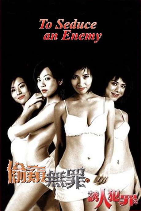 电影 偷窥无罪2诱人犯罪 / To Seduce An Enemy 2003 封面图/海报